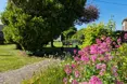 Photo of the garden where applicable